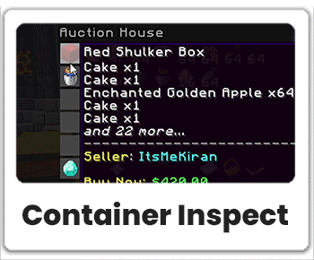 containerinspect.gif