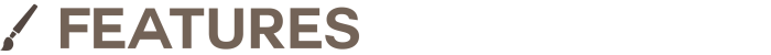 features.png